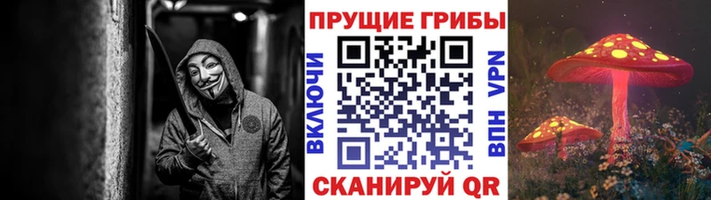 гидра онион  Верхняя Тура  Галлюциногенные грибы Cubensis 